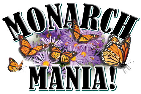 Monarch Mania
